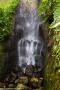 © Copyright - Raphael Kessler 2014 - England - The Eden Project waterfall