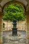 (c) Copyright - Raphael Kessler 2013 - England - Hever Castle - Italian Garden 