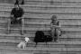 (c) Copyright Raphael Kessler 2012 - Italy - Sicily - Noto - Hanna and a dog