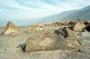 (c) Copyright - Raphael Kessler 2011 - Peru - Toro Muerto Petroglyphs - Camel