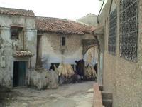 © Copyright - Raphael Kessler 2011 - Morocco - Chefchouen sheep skins