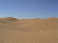© Copyright - Raphael Kessler 2011 - Morocco - Sahara - Mhamid - Desert dunes