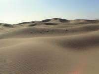 © Copyright - Raphael Kessler 2011 - Morocco - Sahara - Mhamid - Desert dunes