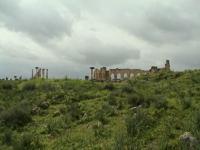 © Copyright - Raphael Kessler 2011 - Morocco - Volubilis