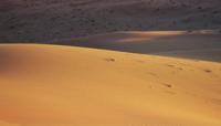 © Copyright - Raphael Kessler 2011 - Namibia - Sossesvlei - Red sand dunes
