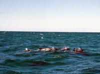 © Copyright Raphael Kessler - South Africa - Ipod