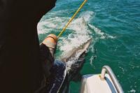 © Copyright - Raphael Kessler 2011 - South Africa - Andre gets the shark interested in his foot