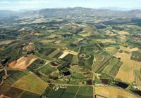 © Copyright Raphael Kessler - South Africa - Stellenbosch