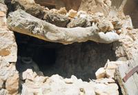 © Copyright - Raphael Kessler 2011 - Tunisia - Troglodytes