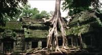 © Copyright - Raphael Kessler 2011 - Cambodia - Angkor - Angkor Thom trees have taken over the temple