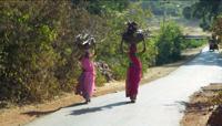 © Copyright - Raphael Kessler 2011 - India - Chittogarh - Indian ladies carrying their wares on their head