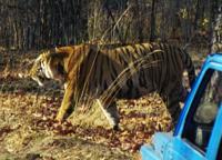© Copyright Raphael Kessler - India - Posing For The Tourists
