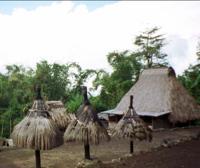 © Copyright - Raphael Kessler 2011 - Indonesia - Flores - Bajawan village