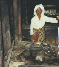 © Copyright Raphael Kessler - Indonesia - Meningkabau Woman