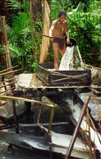 © Copyright - Raphael Kessler 2011 - Indonesia - Siberut - Pouring the water through the filtering system sluices
