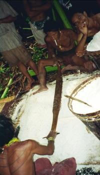 © Copyright - Raphael Kessler 2011 - Indonesia - Siberut - Grinding the sago powder finer