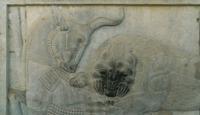 © Copyright - Raphael Kessler 2014 - Iran - Persepolis - relief carving