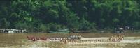 © Copyright - Raphael Kessler 2011 - Laos - Not quite the university boat race