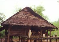 © Copyright Raphael Kessler - Thailand - Having A Crap On The Doorstep