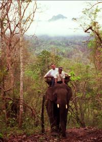 © Copyright - Raphael Kessler 2011 - Thailand - Going through the rainforest on an elephant