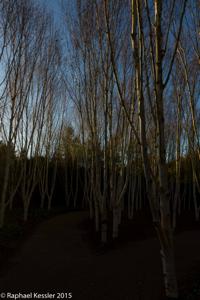 © Copyright Raphael Kessler - Britain - Anglesey Abbey 2