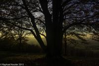 © Copyright Raphael Kessler - Britain - Bison Hill 1