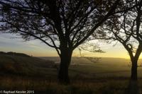 © Copyright Raphael Kessler - Britain - Bison Hill 18