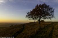 © Copyright Raphael Kessler - Britain - Bison Hill 19