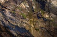 © Copyright Raphael Kessler - Britain - Bluejohn 1