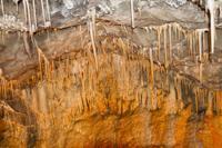 © Copyright Raphael Kessler - Britain - Bluejohn 15