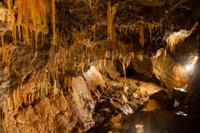 © Copyright Raphael Kessler - Britain - Bluejohn 16