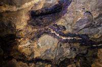 © Copyright Raphael Kessler - Britain - Bluejohn 2