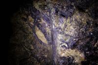 © Copyright Raphael Kessler - Britain - Bluejohn 7