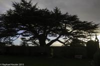 © Copyright Raphael Kessler - Britain - Canons Ashby 16