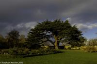 © Copyright Raphael Kessler - Britain - Canons Ashby 6