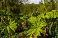 © Copyright Raphael Kessler - Britain - Chartwell 1