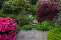 © Copyright Raphael Kessler - Britain - Chartwell 19