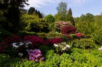 © Copyright Raphael Kessler - Britain - Chartwell 2