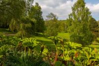 © Copyright Raphael Kessler - Britain - Chartwell 24 1