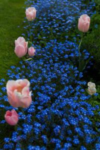 © Copyright Raphael Kessler - Britain - Chartwell 9