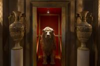 © Copyright Raphael Kessler - Britain - Chatsworth 18