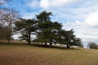 © Copyright Raphael Kessler - Britain - Chatsworth 2