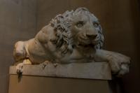 © Copyright Raphael Kessler - Britain - Chatsworth 22