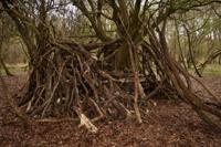 © Copyright Raphael Kessler - Britain - Chilterns 2