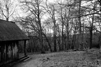 © Copyright Raphael Kessler - Britain - Chilterns 4