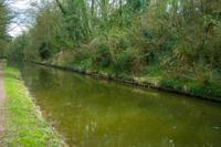 © Copyright Raphael Kessler - Britain - Chilterns 9