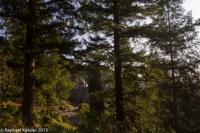 © Copyright Raphael Kessler - Britain - Cragside 1