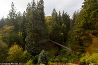 © Copyright Raphael Kessler - Britain - Cragside 14