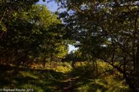 © Copyright Raphael Kessler - Britain - Derwent 6