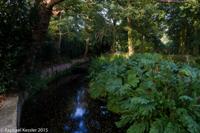 © Copyright Raphael Kessler - Britain - Dunham Massey 19
